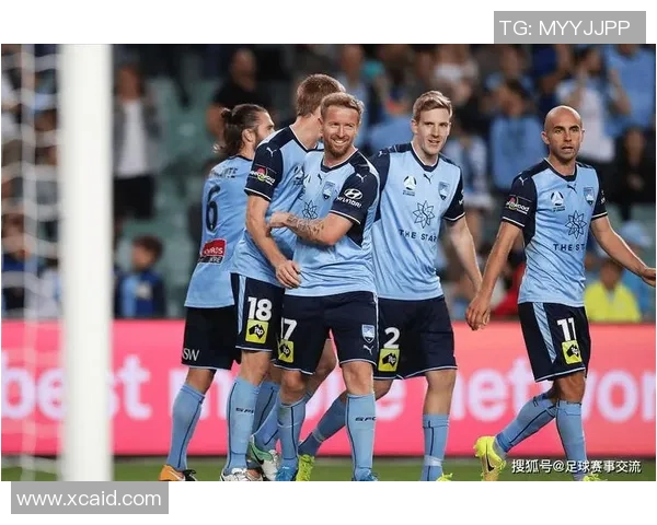 足球那萨尔的传奇之路与未来发展展望探讨